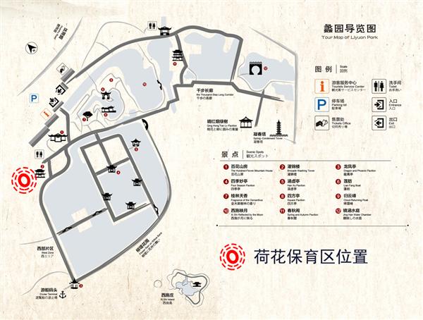 特辑篇——蠡园荷花基地建设