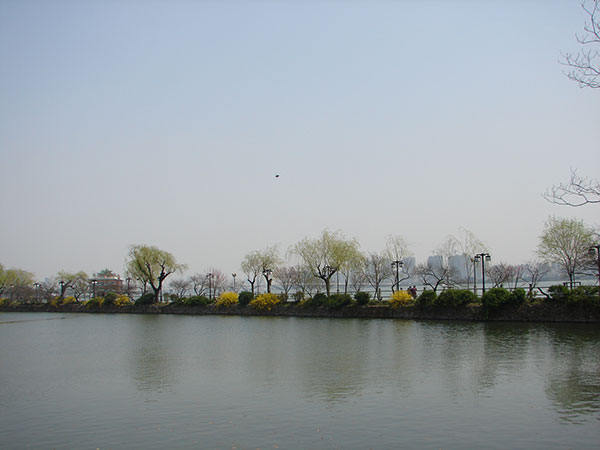 DSC01494.jpg