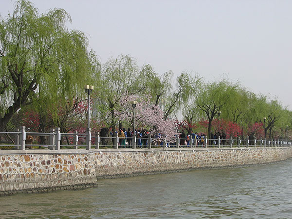 IMG_0020.jpg