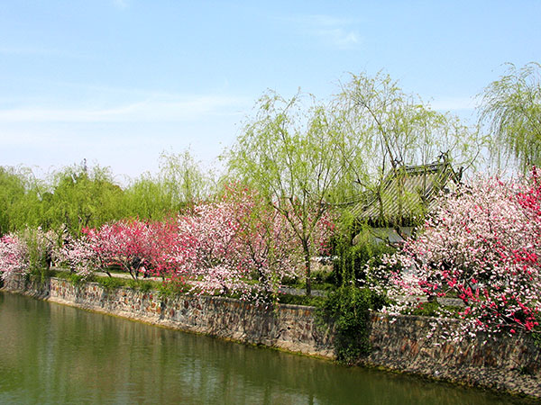 image153.jpg