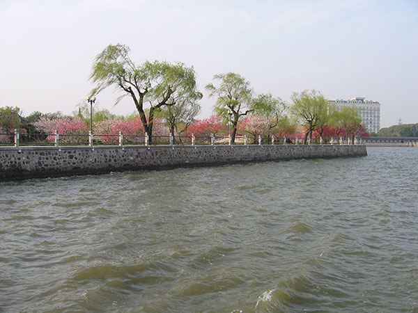 IMG_0127.jpg