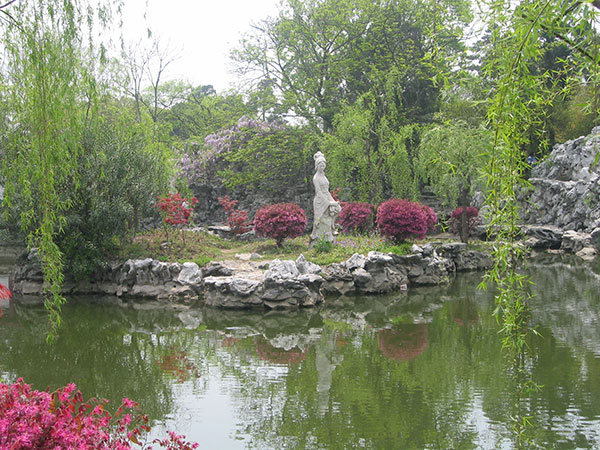 IMG_-16.jpg