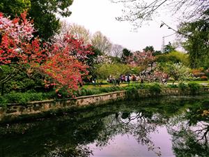 20180402_150044_副本.jpg