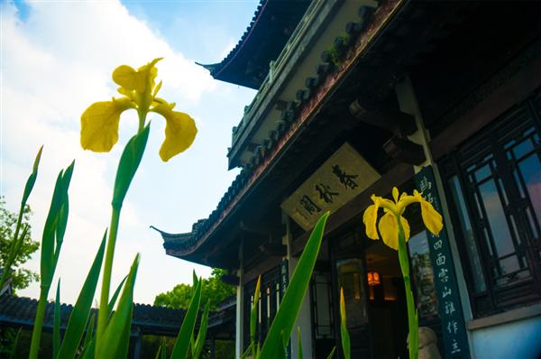 DSC09257 - 副本.jpg